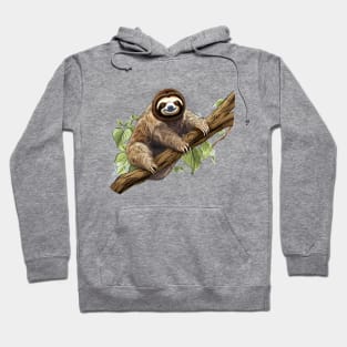 Little Sloth Hoodie